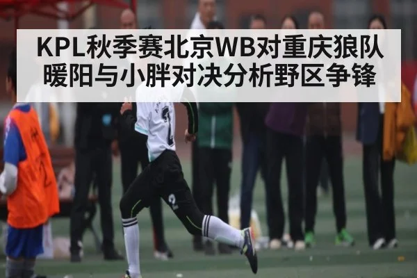 KPL秋季赛北京WB对重庆狼队暖阳与小胖对决分析野区争锋