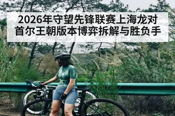 2026年守望先锋联赛上海龙对首尔王朝版本博弈拆解与胜负手